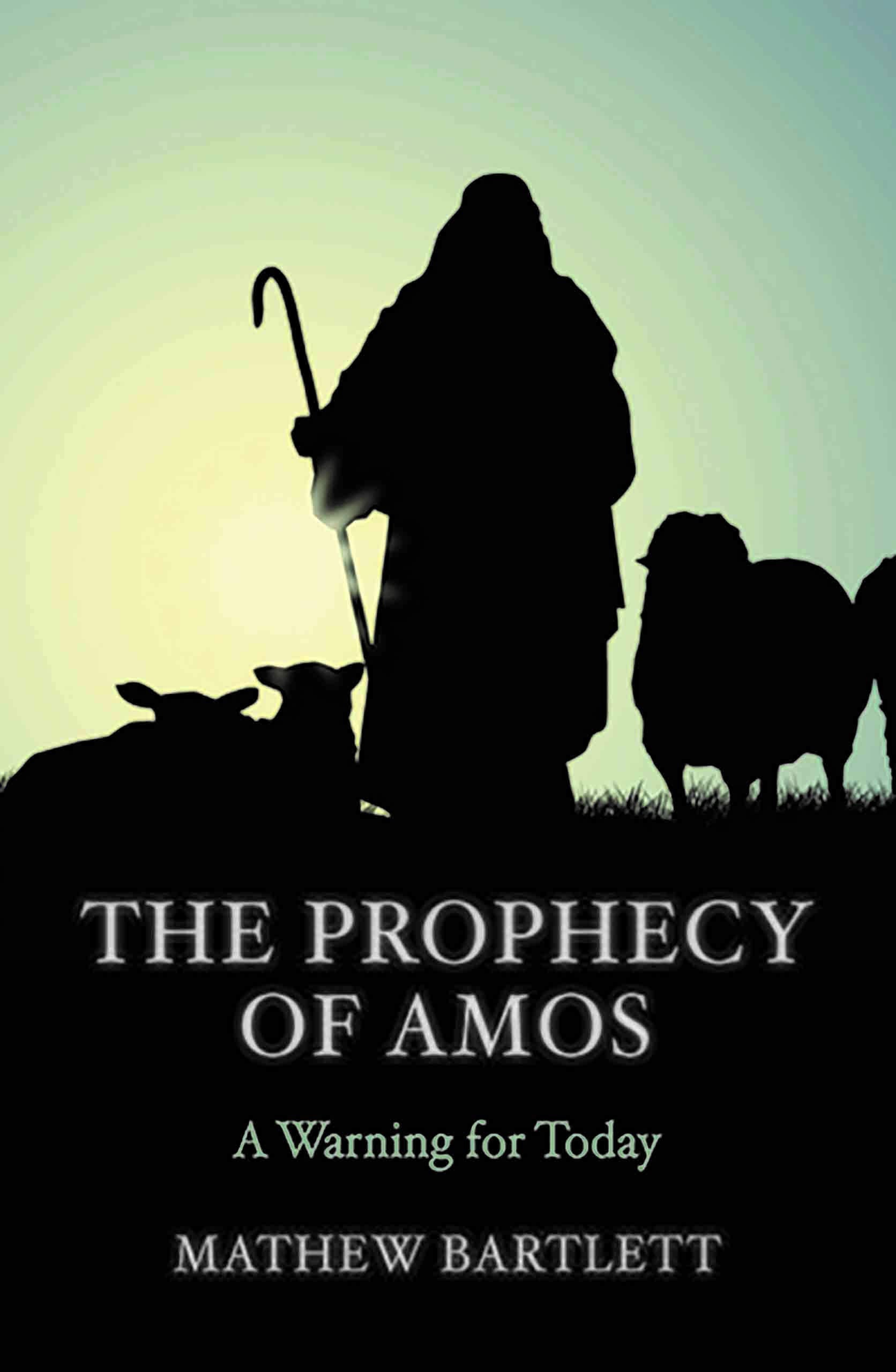 The Prophecy Of Amos A Warning For Today Bible Study Guide Faithbuilders Bible Studies Bartlett Mathew 9781910942192 Amazon Com Books