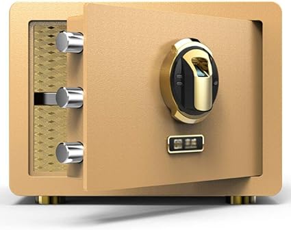 BYFF Caja De Seguridad Electrónica Digital con Pantalla LED ...