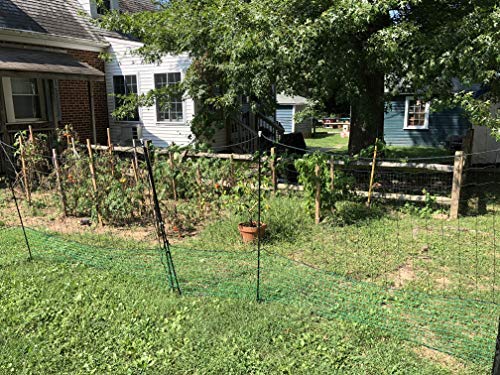 RentACoop Fencing Kit (60'L x 5'H)