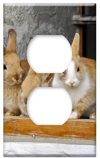 rabbit selling outlets