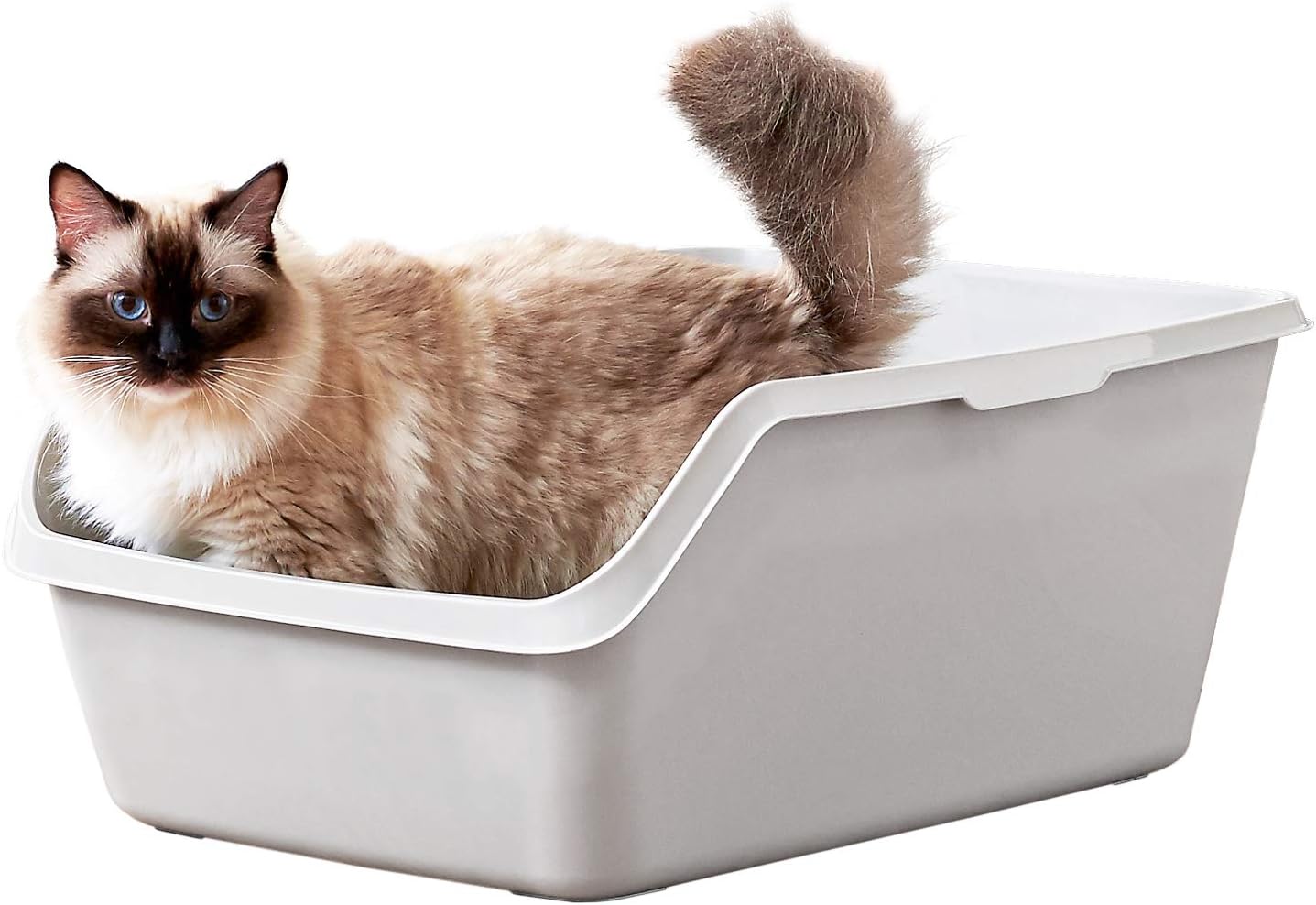 Amazon Oft Hy Cat ジャンボ グレー ハイキャット 本体 猫トイレ 大きい 飛散防止 一体成形 入口は低め 幅45 5 奥61 高25cm 内寸 幅34 奥50 高24 5cm 地面から入り口までの高さ 15 5cm オーエフティー トイレ本体 通販