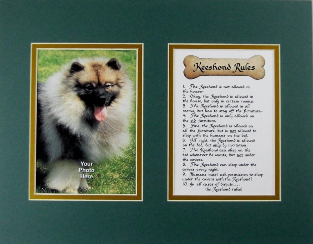 palm valley pet adoption