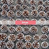 Lanyani 24-pc Natural Snow Pincones with String