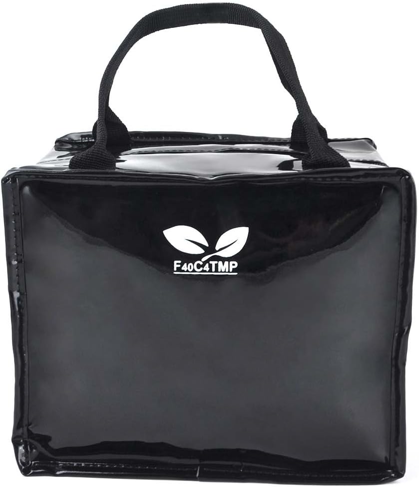 Mini Lunch Bag Box F40C4TMP Meal Prep Bag with Handle Strap Kids Boys