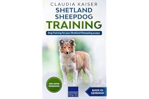Shetland Sheepdog Training: Dog Training for your Shetland Sheepdog puppy
