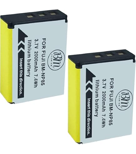 Amazon.com : 2 Pack - Replacement for Fujifilm FinePix SL1000