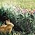 YARDGARD 308374A 28 Inch by 25 Foot 14 Gauge Garden Rabbit and Small Animal Fence