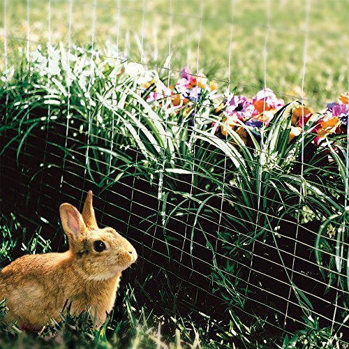 Home Depot Garden Fence Rabbit Everbilt 21/3 ft. x 50 ft. Steel