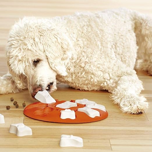 juegos de inteligencia para perros amazon