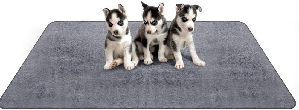 amazon puppy pee pads