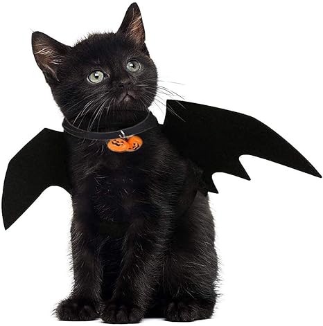 Jiasha Costume De Chien De Chat D Halloween Ailes De Chauve Souris Pour Animaux De Compagnie Robe Pour Halloween Activite De Fete Du Festival De Paques A Noel Amazon Fr Animalerie