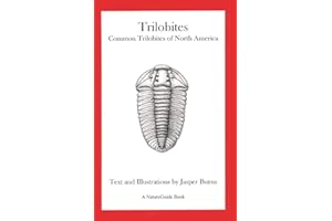 Trilobites: Common Trilobites of North America