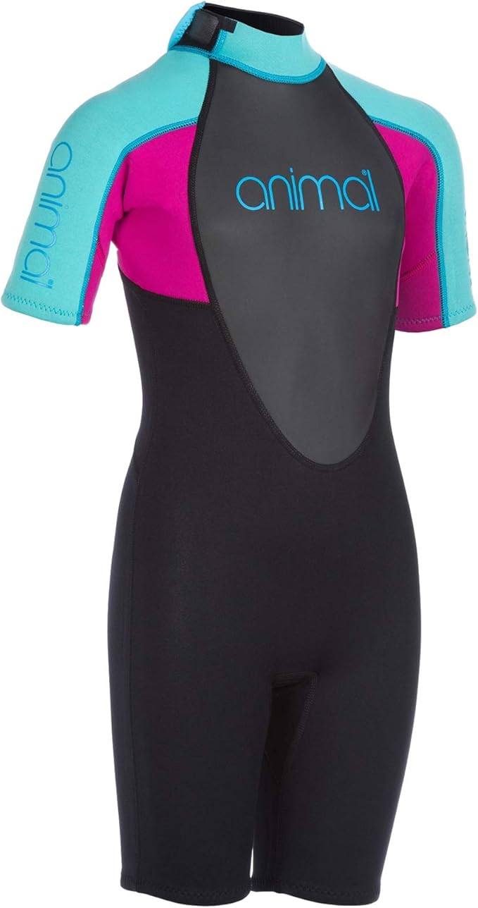 Animal Girls NOVA Shorty Wetsuit Black Amazon.co.uk Clothing