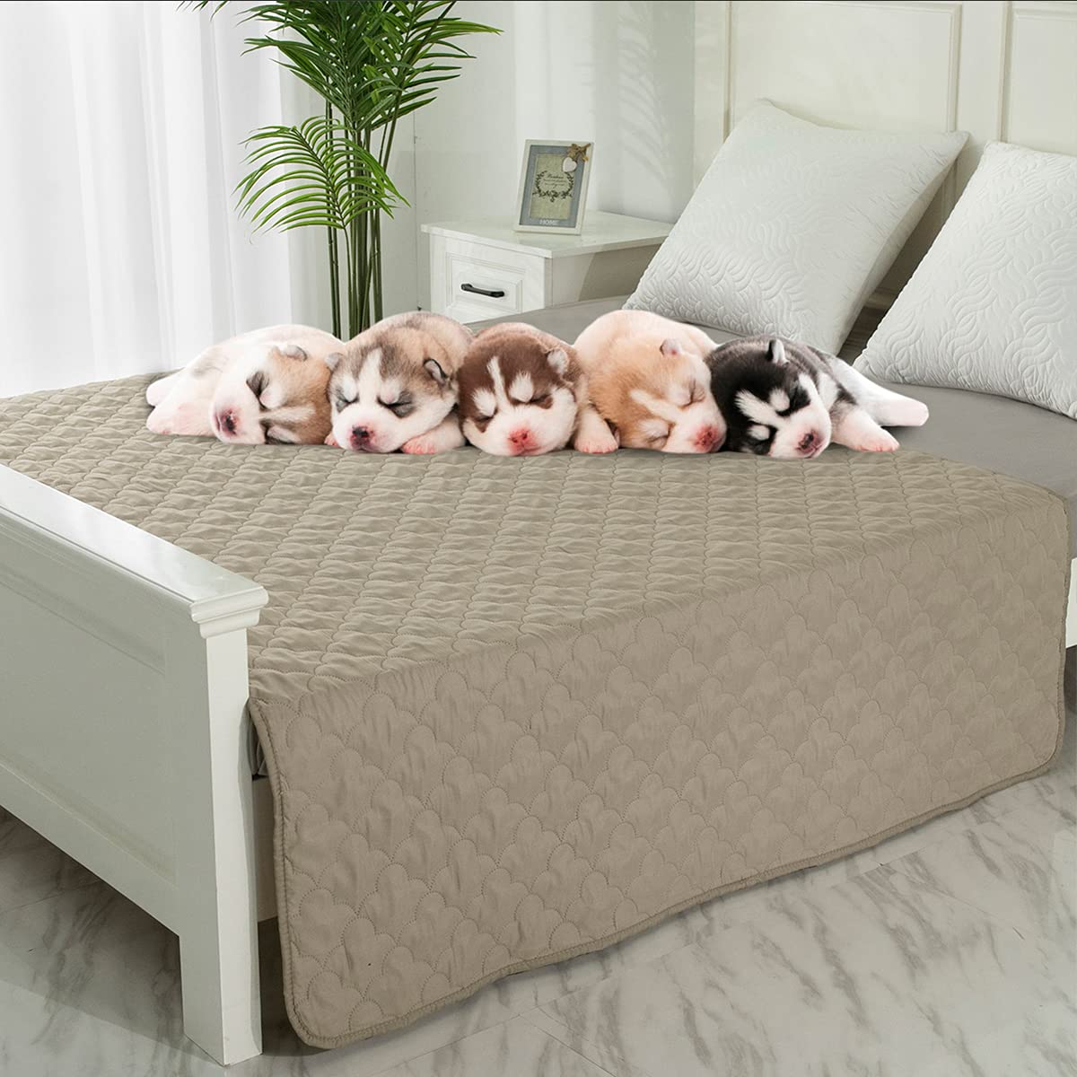 Photo 1 of Dog Blankets for Couch Protection Waterproof Dog Bed Covers Pet Blanket Furniture Protector (Beige+Sand, 68"x82")