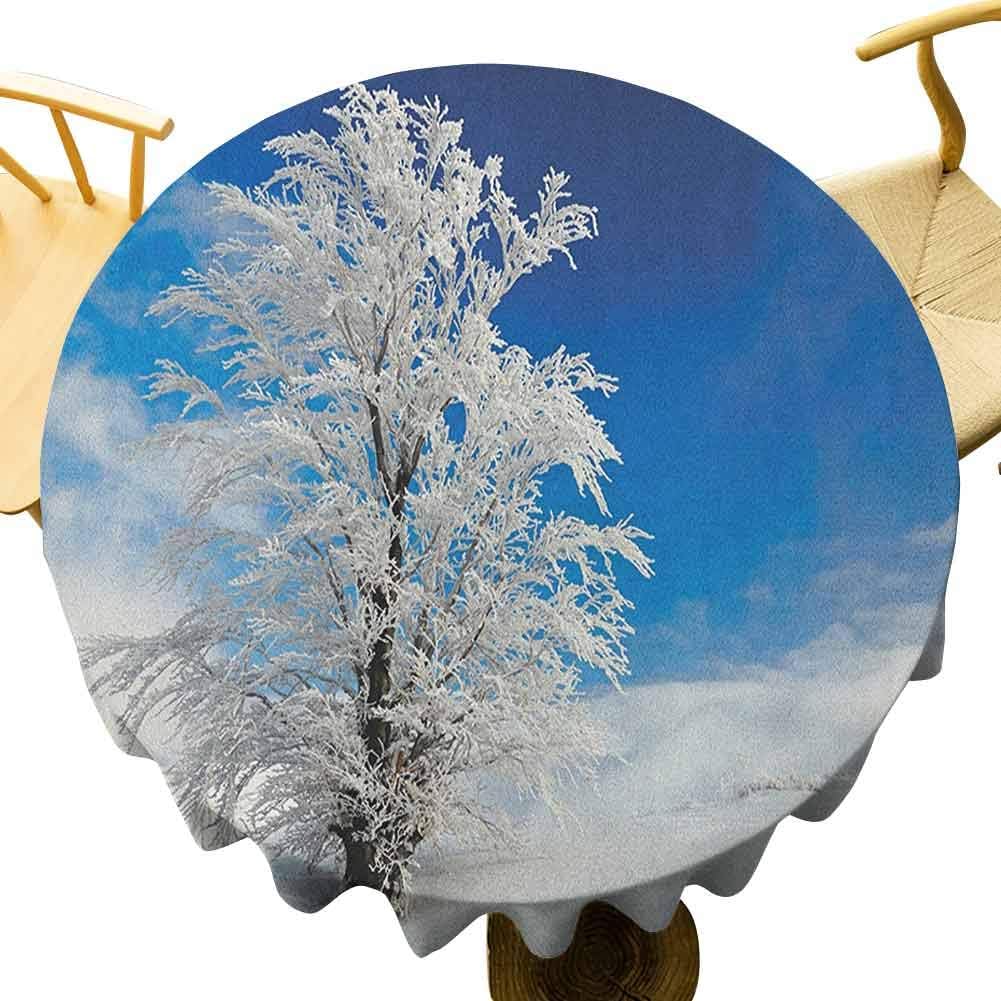 DRAGON VINES Fabric Tablecloth Winter Wedding Party,Lonely Tree on Snow Covered Land Cloudy Sky Rural Scenery in January Cold Country Diameter 62"