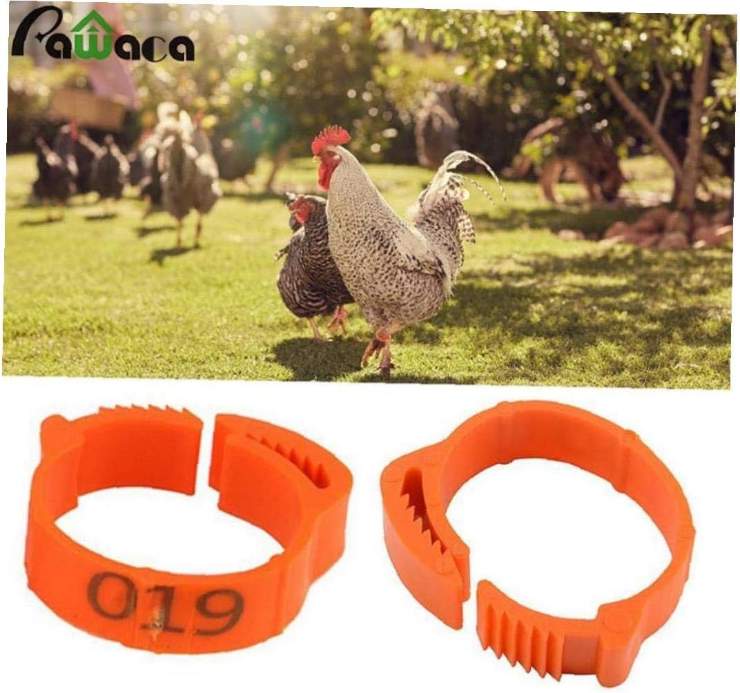 Aisoway Chicken Clip-on Ring Adjustable Poultry Identification Leg Digital Label Buckle Bands Random Color 100 Pcs