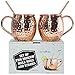 D&F Kitchen Pro Moscow Mule Mugs With Two Straws - Each Cup 1/2 Pound In Weight - 100% Solid Copper - Hammered Finish - Set of 2 - 16oz