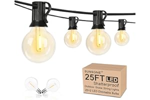 SUNSGNE 25Ft Globe Led String Lights Waterproof Shatterproof, Connectable Hanging Patio String Lights with 25 LED Plastic Clear Bulbs, Outdoor Indoor Lights for Room Café Bistro Pergola Tents, Black Wire