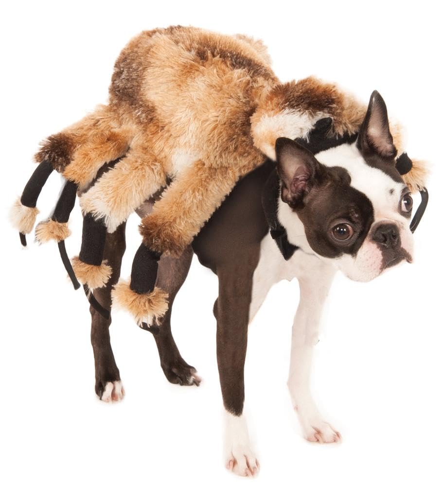 Rubies 580358M Official Giant Spider Pet Dog Halloween Costume, Brown, Medium (Neck to Tail 15 Inch, Chest 17 Inch) Halloween, World Book Day