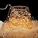 RaThun 33ft 100 LEDs String Lights Flexible Copper Wire Lights Waterproof Design Decor Rope Lights for Festival, Christmas, Wedding, Holiday and Party with Wireless Remote Control, Warm White