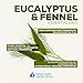 Spa Foot Soak 32 Ounces Epsom Salt with Natural Geranium, Lavender, Fennel and Eucalyptus Essential Oils Plus Vitamin C in BPA Free Pouch with Easy Press-Lock Seal