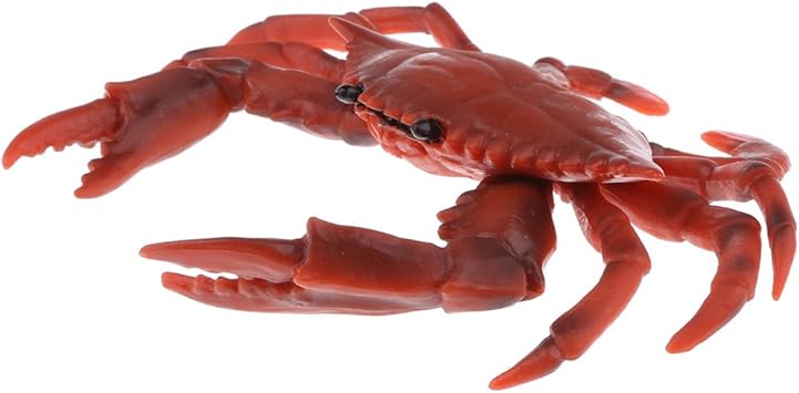 Magideal Modello Simulazione Animale Figure Giochi Educativi Bambino Decorazione Casa Plastica Regale Granchio Rosso Amazon It Giochi E Giocattoli