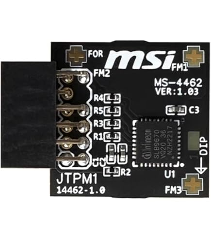 Amazon.com: NewHail TPM2.0 Module TPM SPI 12Pin Module with