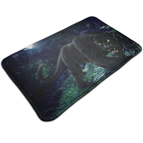 Amazon Com Robertsvilla Cool Black Panther Night Welcome Door Mat