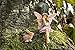 Joykick Fairy Garden House Kit - Hand Painted with Opening Doors and Miniature Fairy Figurine with Accessories - Indoor Outdoor Set of 4 pcs for Home or Lawn Decor