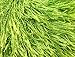 GenericJINCHENG Lime Green Eyelash Yarn 50 Gram Ice 22786