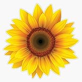 Cool Sunflower Vinyl Waterproof Sticker Decal Car Laptop Wall Window Bumper Sticker 5"