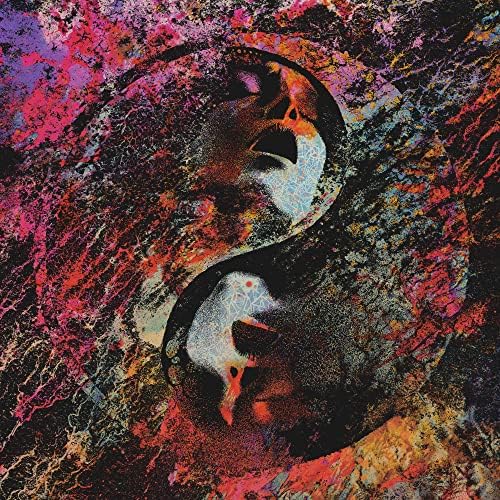 Amazon.com: Ruin: CDs & Vinyl