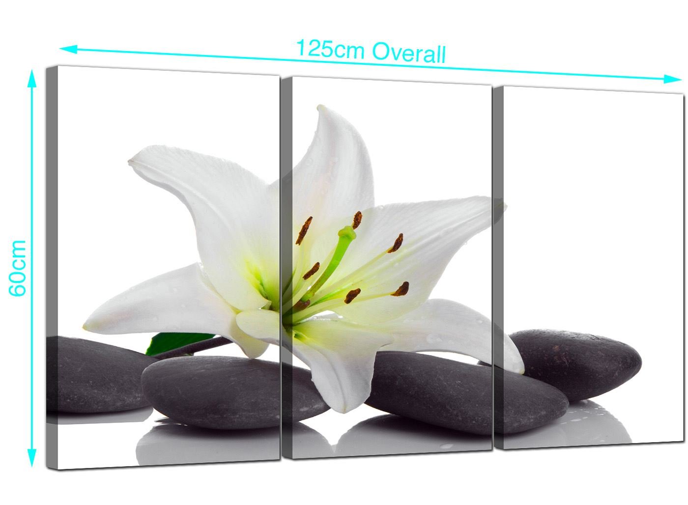 Set Of 5 Black White Floral Wall Pictures Split Canvas Art Prints 5024 Wandbehange Scribeemr Mobel Wohnen