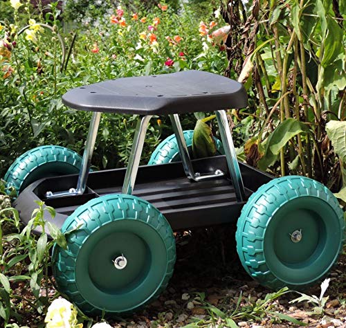 Loyalty Lawn Care Phone Number Loyalty Lawn Care