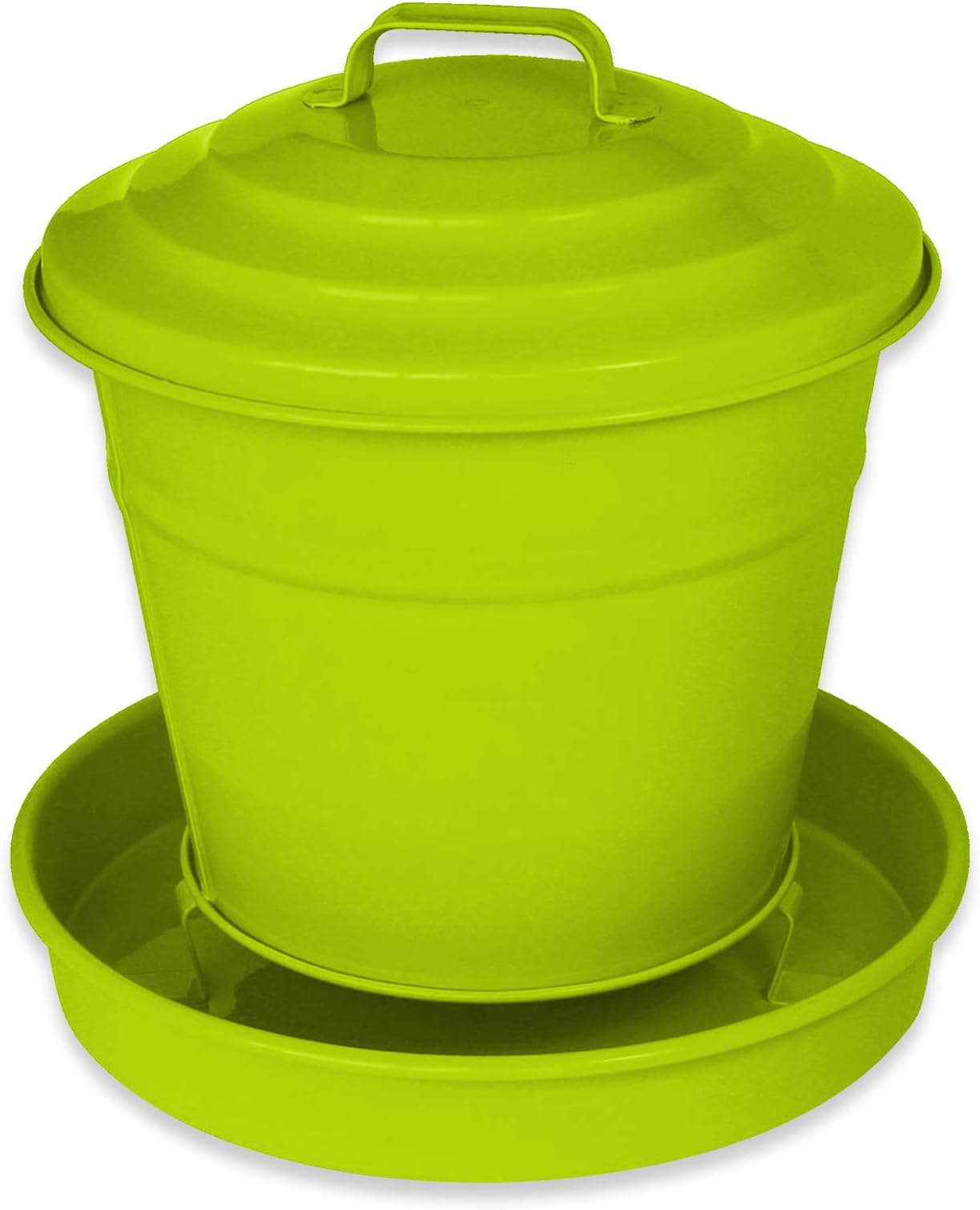 Tigerbox 4KG Hen Party Galvanised Bucket Poultry Feeder Citrus Green