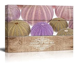 Marine Theme Canvas Wall Art - Beautiful Sea Urchin - Giclee Print Modern Wall Art | Stretched Gallery Wrap Ready to Hang Home Decoration - 12x18 inches