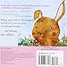 Snow Rabbit, Spring Rabbit: A Book of Changing Seasons