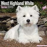 West Highland Terrier Calendar - Breed Specific West Highland Terrier Calendar - 2015 Wall calendars - Dog Calendars - Monthly Wall Calendar by Avonside by MegaCalendars (2014-07-01) by 