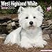 West Highland Terrier Calendar - Breed Specific West Highland Terrier Calendar - 2015 Wall calendars - Dog Calendars - Monthly Wall Calendar by Avonside by MegaCalendars (2014-07-01) by 
