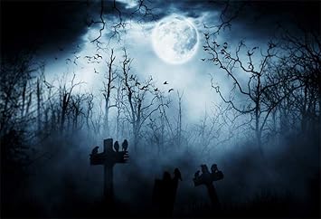 Amazon Com Dashan 10x6 5ft Halloween Backdrop Full Moon Horrible Deep Forest Horror Night Gloomy Crow Bat Tomb Background For Spooky Night Costume Party Photography Kids Halloween Party Photo Studio Props Camera