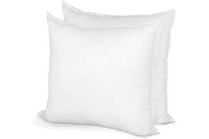 Pillow Insert 17" x 17" Polyester Filled Standard Cover (2 Pack)