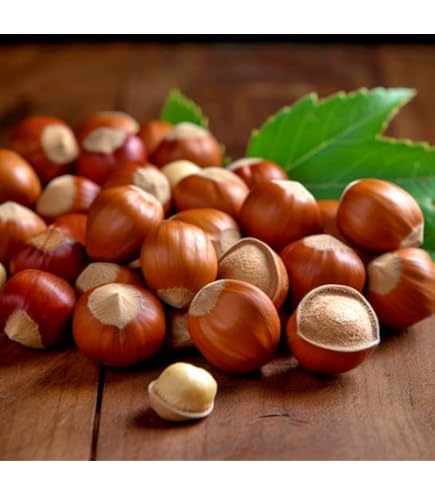 planting a cherry seed Tomato Red Cherry Seed