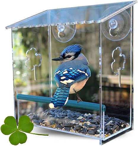Window Bird Feeder Bird House For Outdoors Squirrel Proof Clear