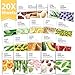 [THEFACESHOP] Korean Facial Mask Sheets, Real Nature Full Face Masks Peel Off Disposable Sheet – 20 Masksthumb 1