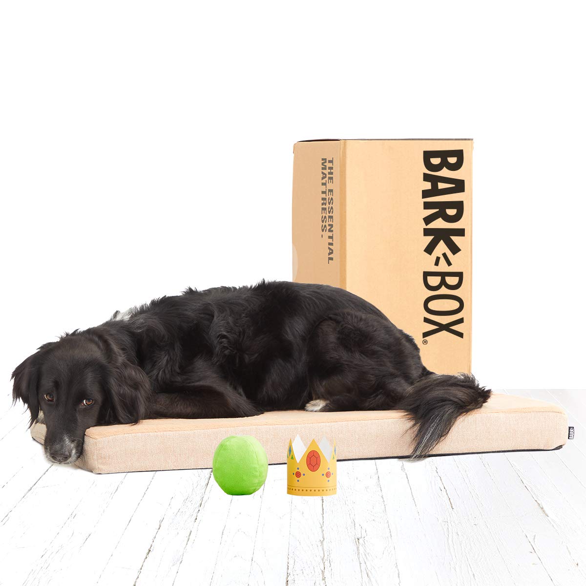 BarkBox Memory Foam Platform Dog Bed | Plush Mattress for Orthopedic Joint Relief | Machine Washable Cuddler with Removable Cover and Waterproof Lining | Includes Squeaker Toy