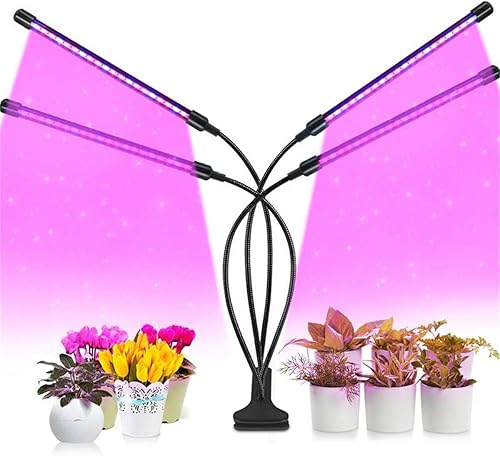 hstcstbl-table__image