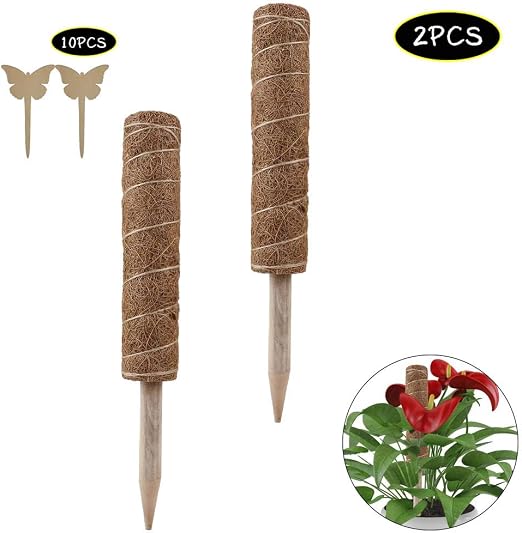 Jycra - Tótem de fibra de coco de 45 cm, 2 unidades, con 10 ...