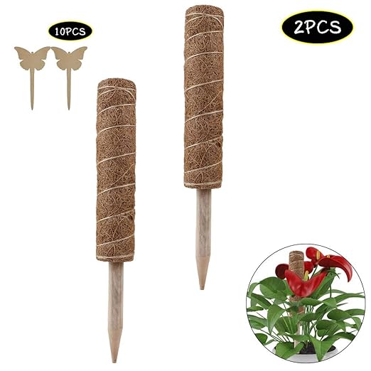 JYCRA Tótem de Fibra de Coco, 2 Paquetes de 45 cm, Varillas de ...