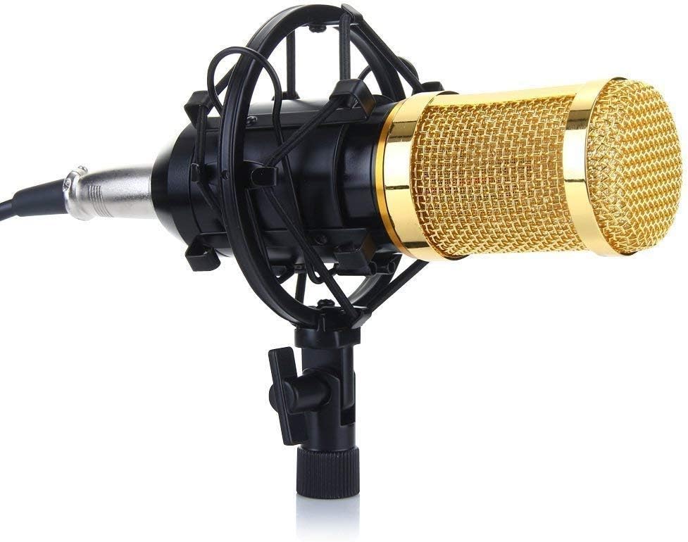 Langboss Professional Wired Condenser Microphone for Studio Recording, Karaoke, Boardcasting (Black)