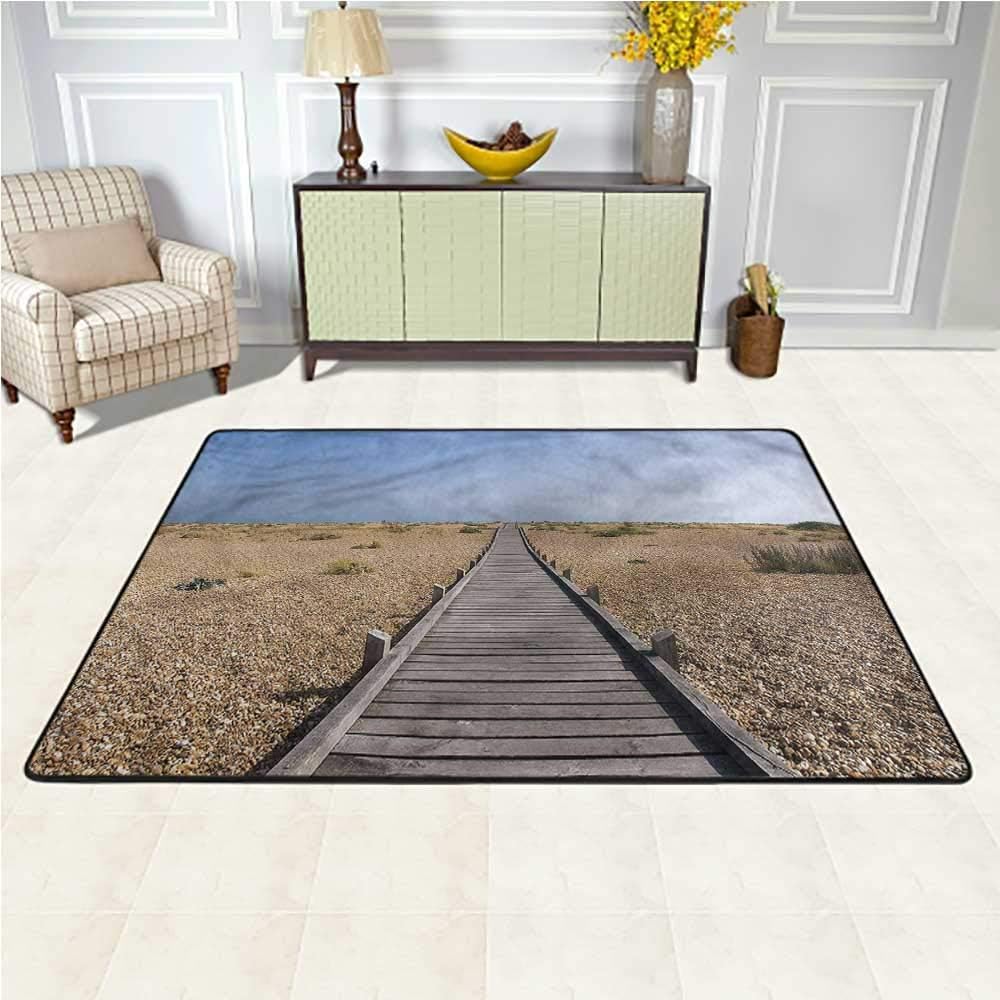 Area Rug Beach, Wood Boardwalk Pebble Coast Super Soft Area Rug with No-Slip pad 4 x 4 Feet